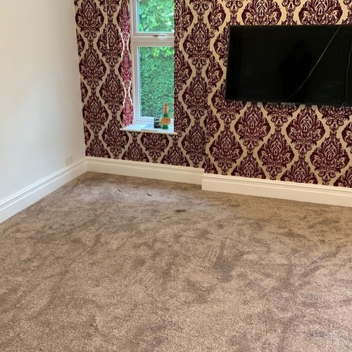 60c20d3cb1d4d062372efa8a carpet 5 p 500