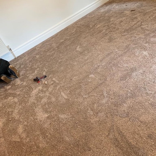60c20d3cf33101347bb3a4eb carpet 7 p 500