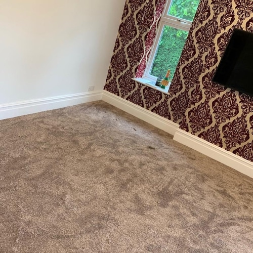 60c20d3d61a2fc71b60965fc carpet 6 p 500